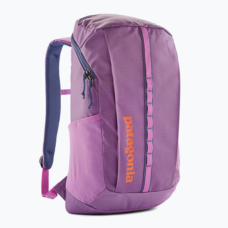 Mestský batoh Patagonia Black Hole Pack 25 l brisk purple