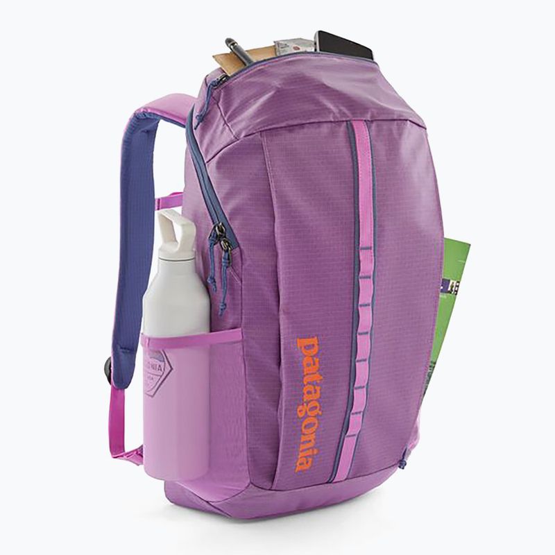 Mestský batoh Patagonia Black Hole Pack 25 l brisk purple 3