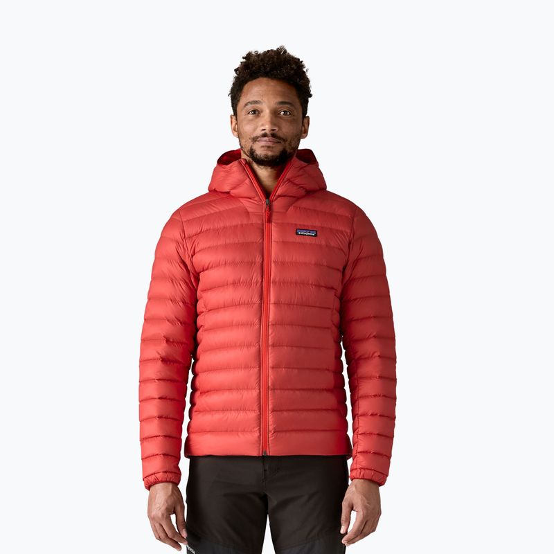 Pánska páperová bunda  Patagonia Down Sweater Hoody amanita red