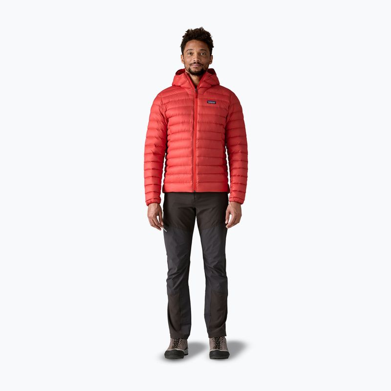 Pánska páperová bunda  Patagonia Down Sweater Hoody amanita red 2