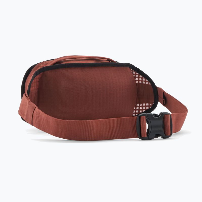 Ľadvinka Patagonia Fieldsmith Hip Pack 5 l dried vanilla 2