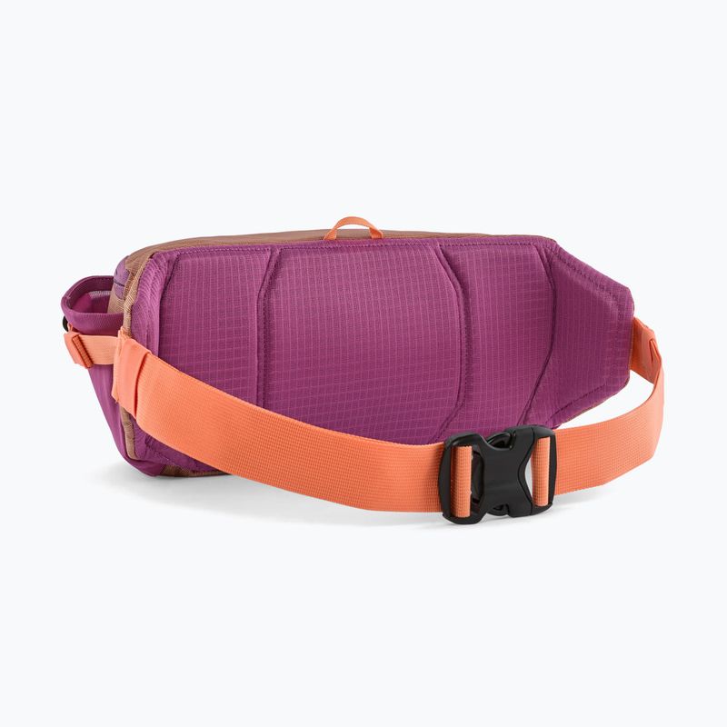 Ľadvinka Patagonia Black Hole Waist Pack 5 l peach sherbet 2