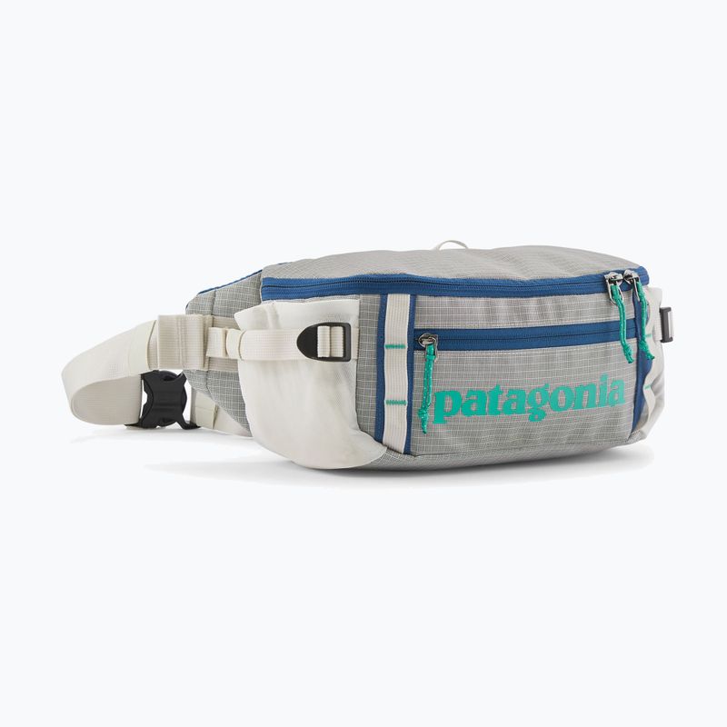Ľadvinka Patagonia Black Hole Waist Pack 5 l birch white