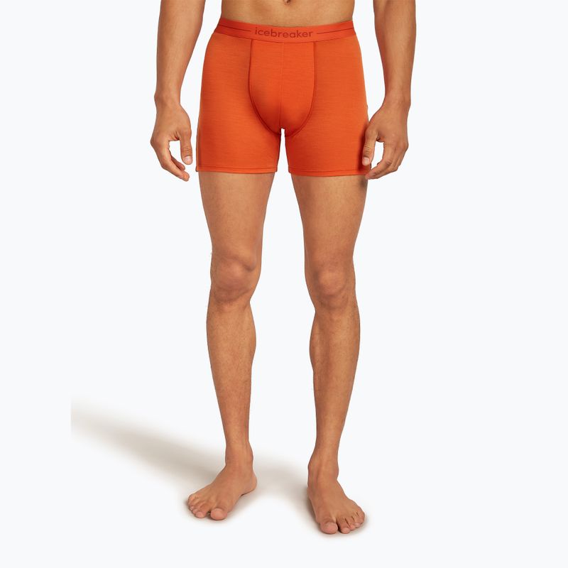 Pánske termo boxerky Icebreaker Anatomica fervid 2