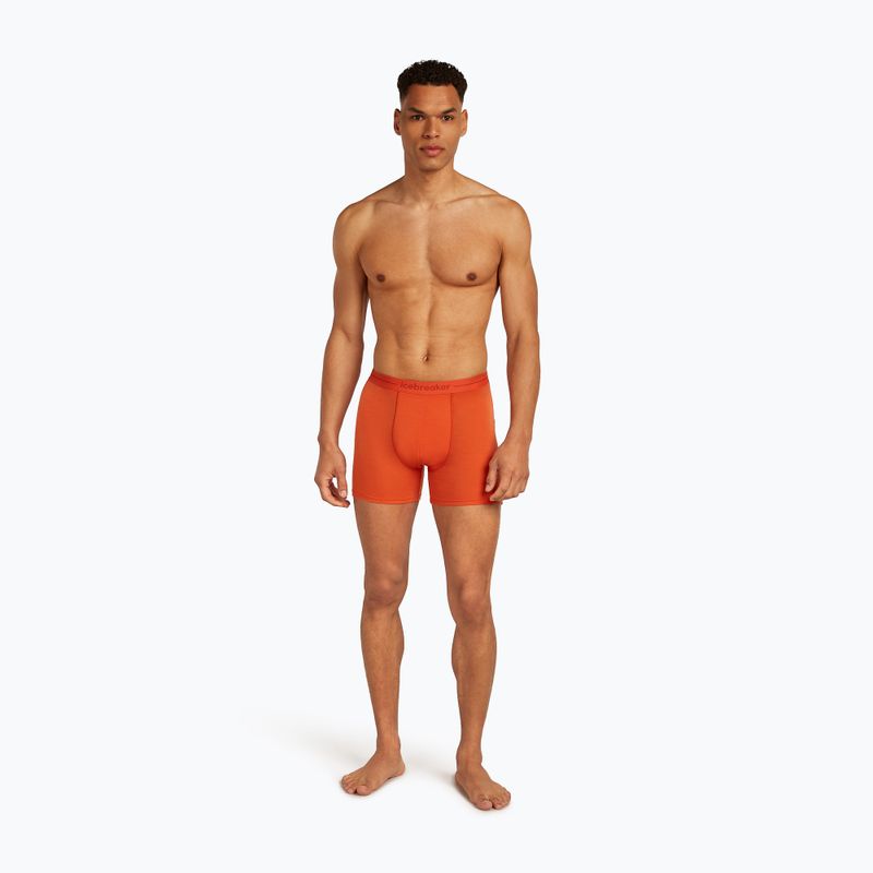 Pánske termo boxerky Icebreaker Anatomica fervid 3