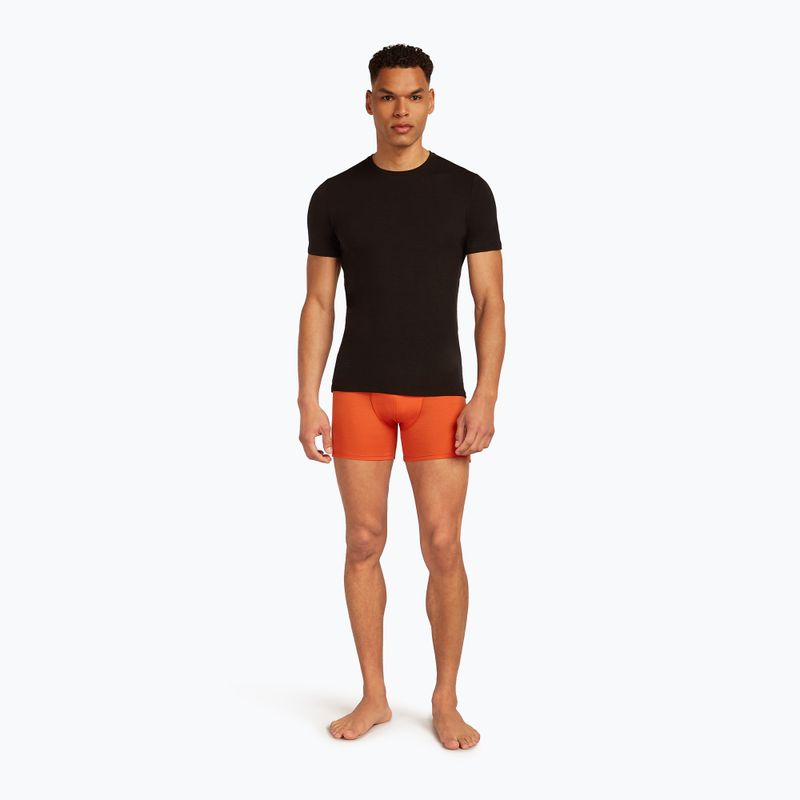 Pánske termo boxerky Icebreaker Anatomica fervid 6