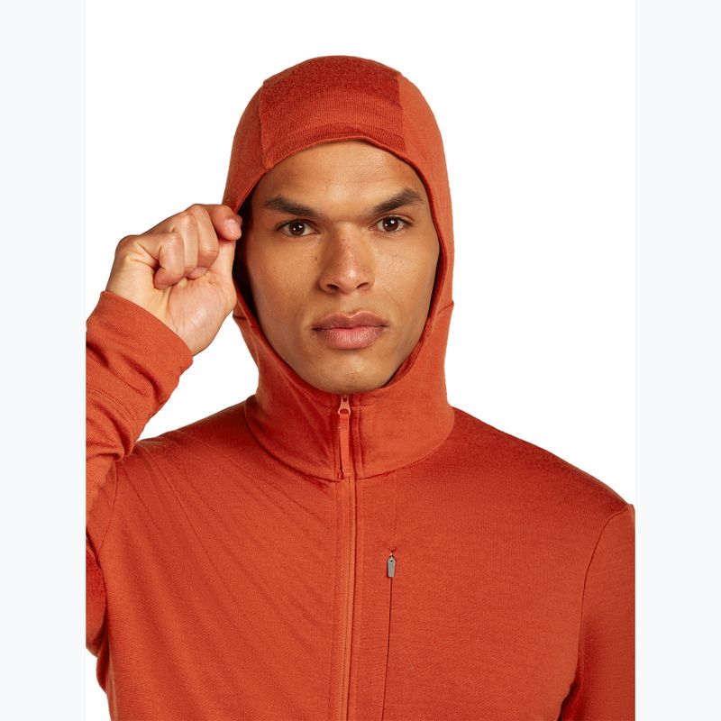 Pánska mikina Icebreaker Merino 260 Quantum IV Zip Hoodie agate 5