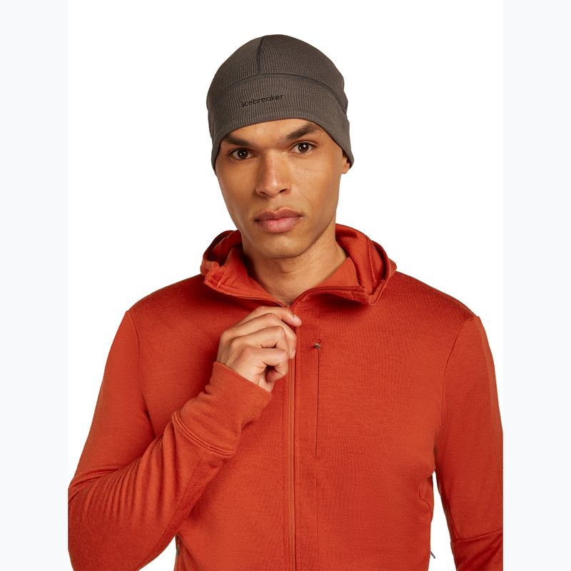 Pánska mikina Icebreaker Merino 260 Quantum IV Zip Hoodie agate 6