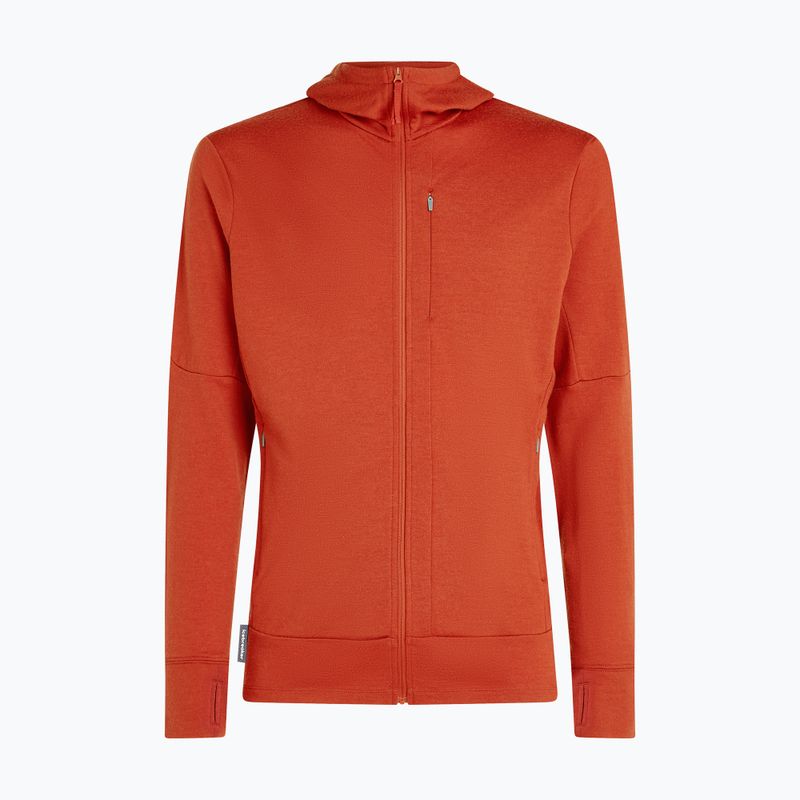 Pánska mikina Icebreaker Merino 260 Quantum IV Zip Hoodie agate 10