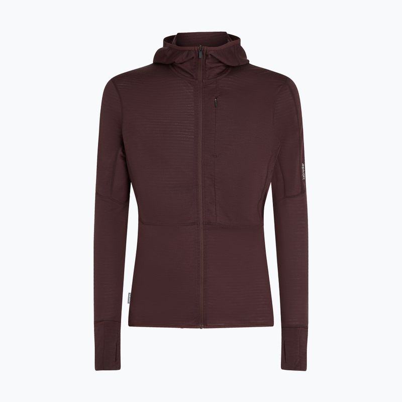 Pánska trekingová mikina Icebreaker Merino 200 RealFleece Descender Zip Hoodie java 10