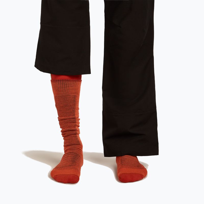 Pánske lyžiarske ponožky Icebreaker Merino Ski+ Medium OTC fervid/agate/java 3