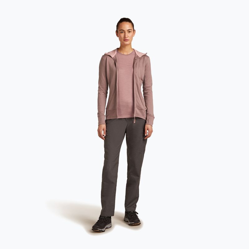 Dámska mikina Icebreaker Merino 260 Quantum IV Zip Hoodie summit/blush 2