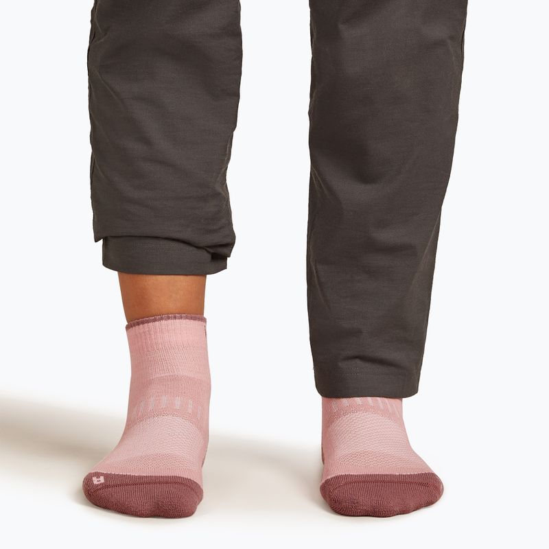 Dámske ponožky Icebreaker Merino Hike+ Light Mini blush/summit 4