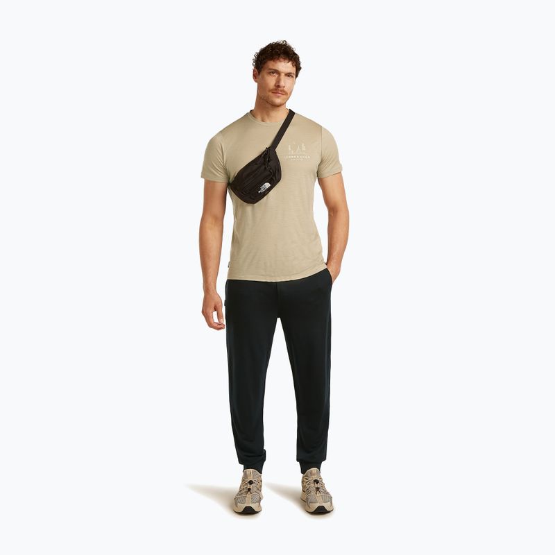 Pánske tričko icebreaker Merino 150 Tech Lite Peaceful Pass Tee flagstone 4