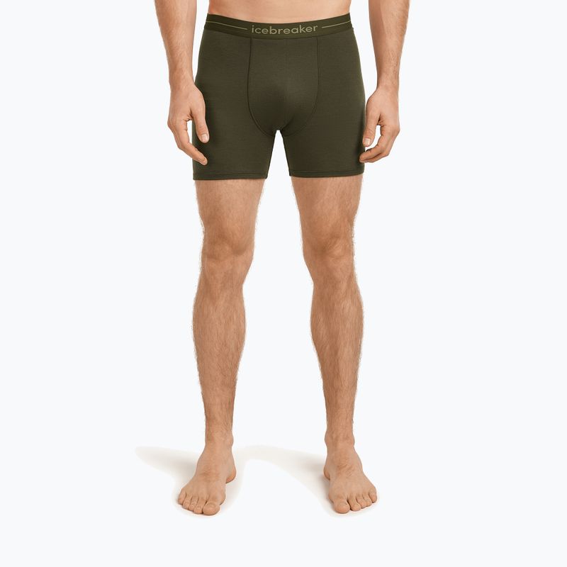 Pánske termo boxerky icebreaker Anatomica dark loden 2