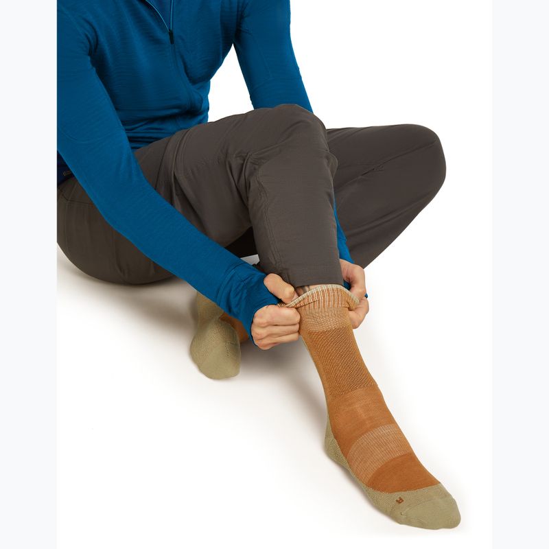 Pánske ponožky Icebreaker Merino Hike+ Medium Crew trail/flagstone 4