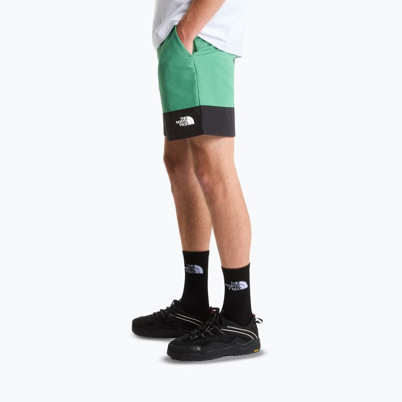 Pánske trekingové šortky The North Face Leynar dimmed algae/tnf black 4