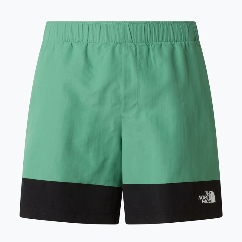 Pánske trekingové šortky The North Face Leynar dimmed algae/tnf black 9