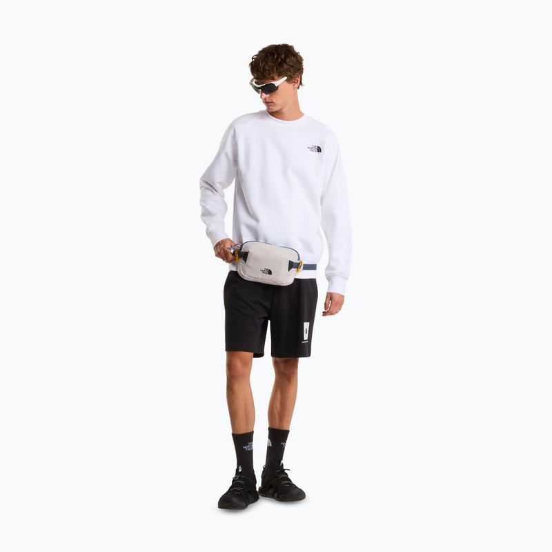 Pánske trekingové šortky The North Face Box Nse Light Regular Shorts black 2
