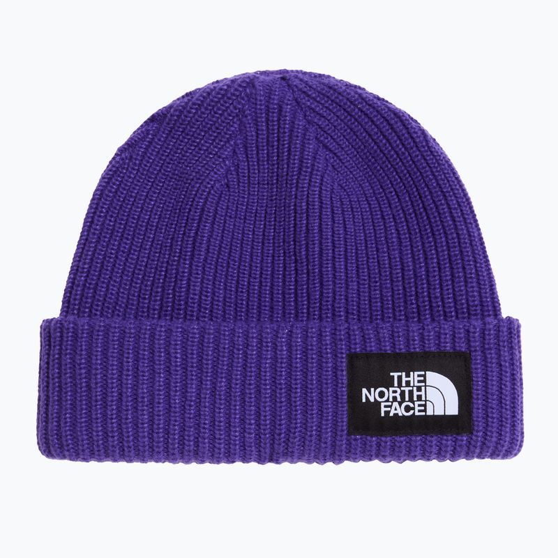 Zimná čiapka The North Face Salty Lined peak purple