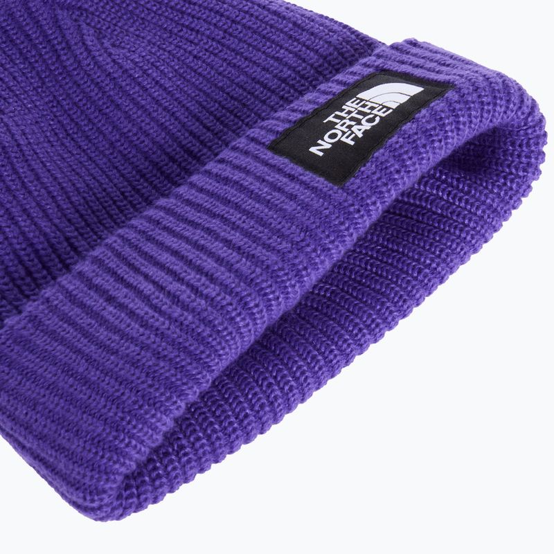 Zimná čiapka The North Face Salty Lined peak purple 2