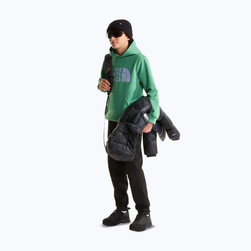 Detská mikina The Noryh Face Essential Drew Peak Hoodie dimmed algae 4