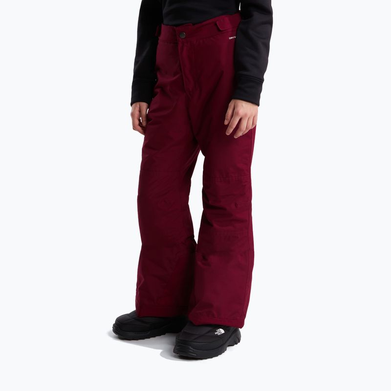 Detské lyžiarske nohavice The North Face Freedom Insulated burgundy crush