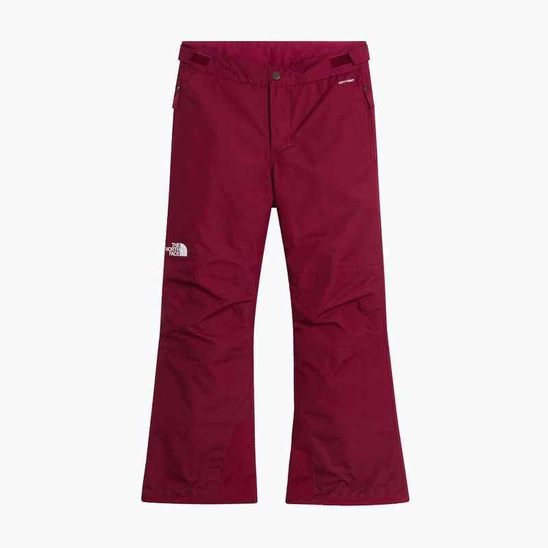 Detské lyžiarske nohavice The North Face Freedom Insulated burgundy crush 4