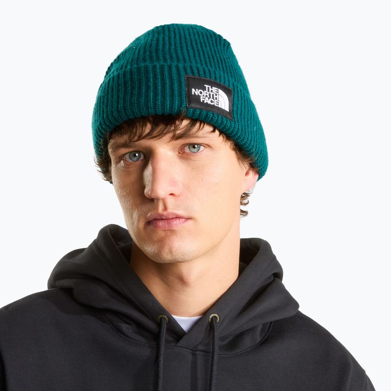 Zimná čiapka The North Face Salty Lined pacific teal 3