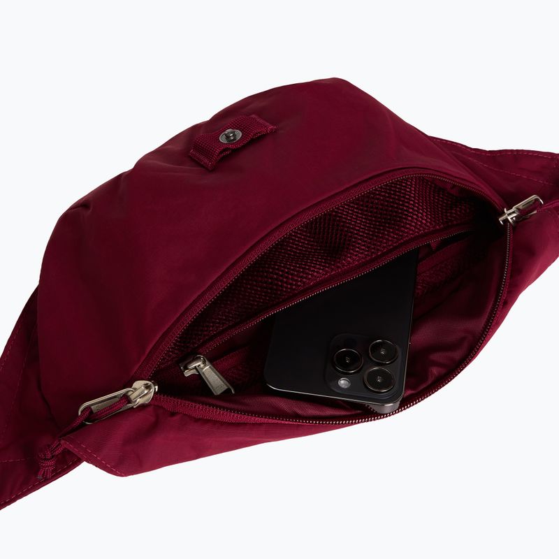 Ľadvinka The North Face Glen Canyon Lumbar burgundy crush 4