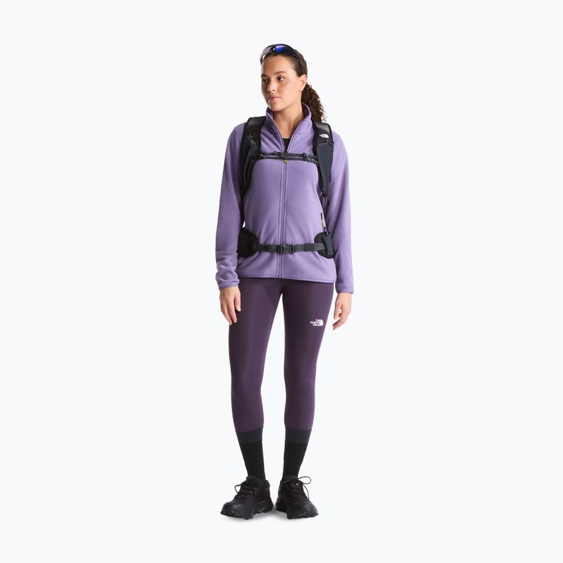 Pánska fleecová mikina The North Face Glacier Fleece grounded plum 2