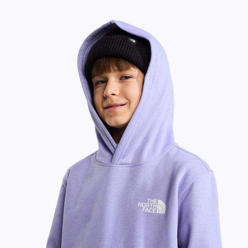 Detská mikina The North Face Evolution Box NSE Pullover Hoodies pale plum 6