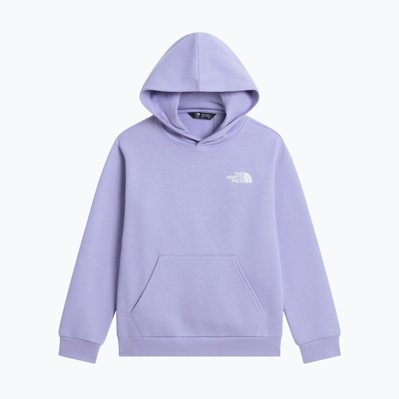 Detská mikina The North Face Evolution Box NSE Pullover Hoodies pale plum 7