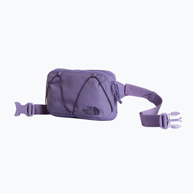 Ľadvinka The North Face Terra Lumbar 1 l grounded plum/endless 2