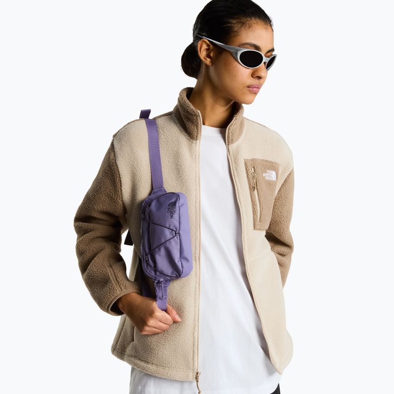 Ľadvinka The North Face Terra Lumbar 1 l grounded plum/endless 5