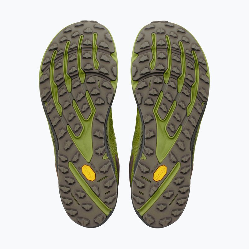 Pánske bežecké topánky Altra Timp 6 GTX Iguana/Silver 4