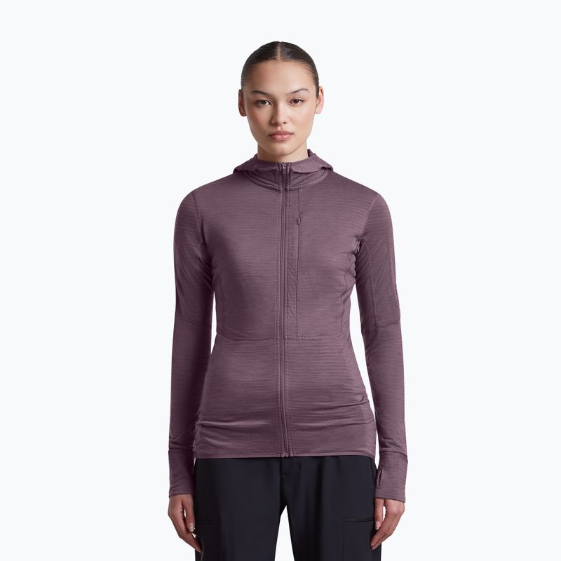 Dámska trekingová mikina Icebreaker Merino 200 Realfleece Descender Half Zip Hoodie grey plum