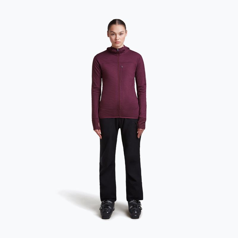 Dámska trekingová mikina Icebreaker Merino 300 Realfleece Descender Zip Hoodie dark berry 2