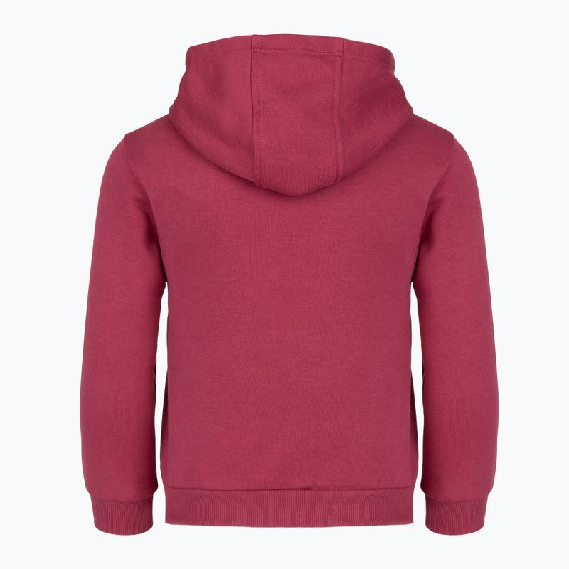 Detská tepláková súprava Nike Club Fleece sweet beet 4