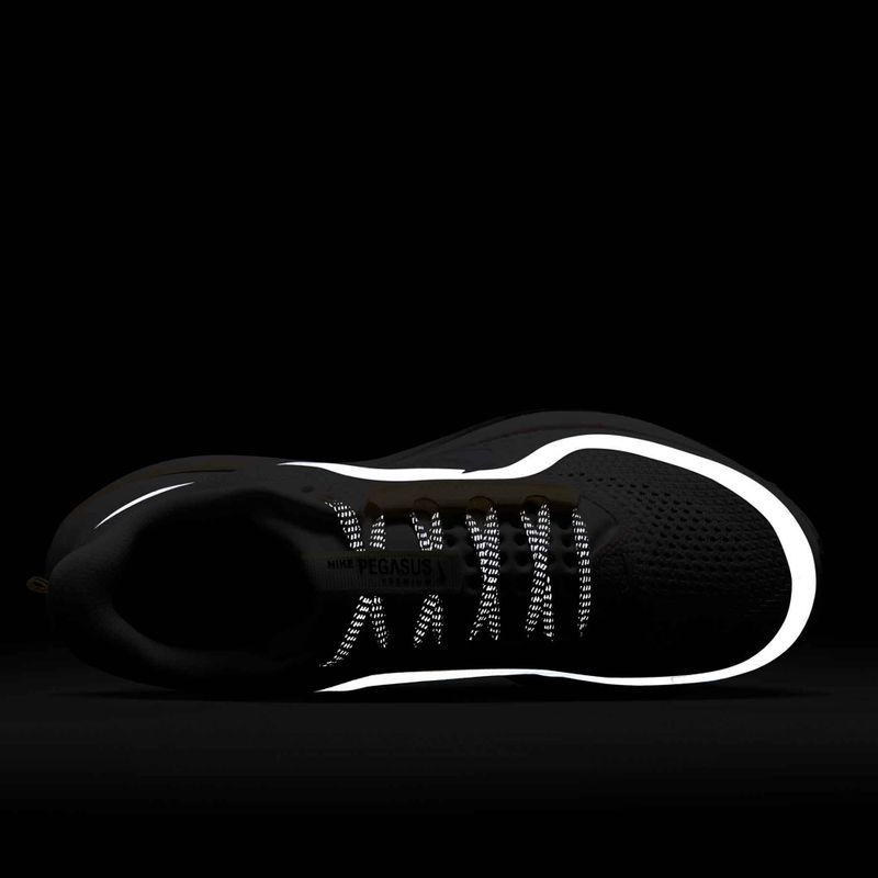 Dámske bežecké topánky Nike Pegasus Premium sail/alabaster/anthracite/white 10