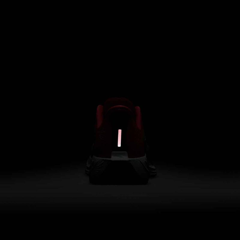 Dámske bežecké topánky Nike Pegasus Plus bright crimson / deep royal blue / silt red 9