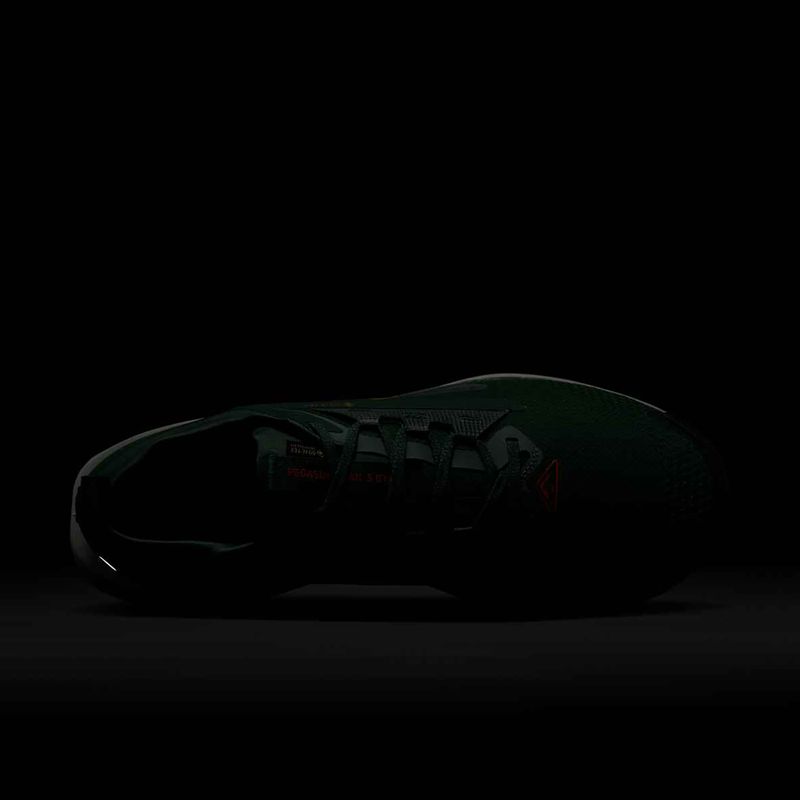 Pánske bežecké topánky Nike Pegasus Trail 5 GORE-TEX fir/bright crimson/clay green 10