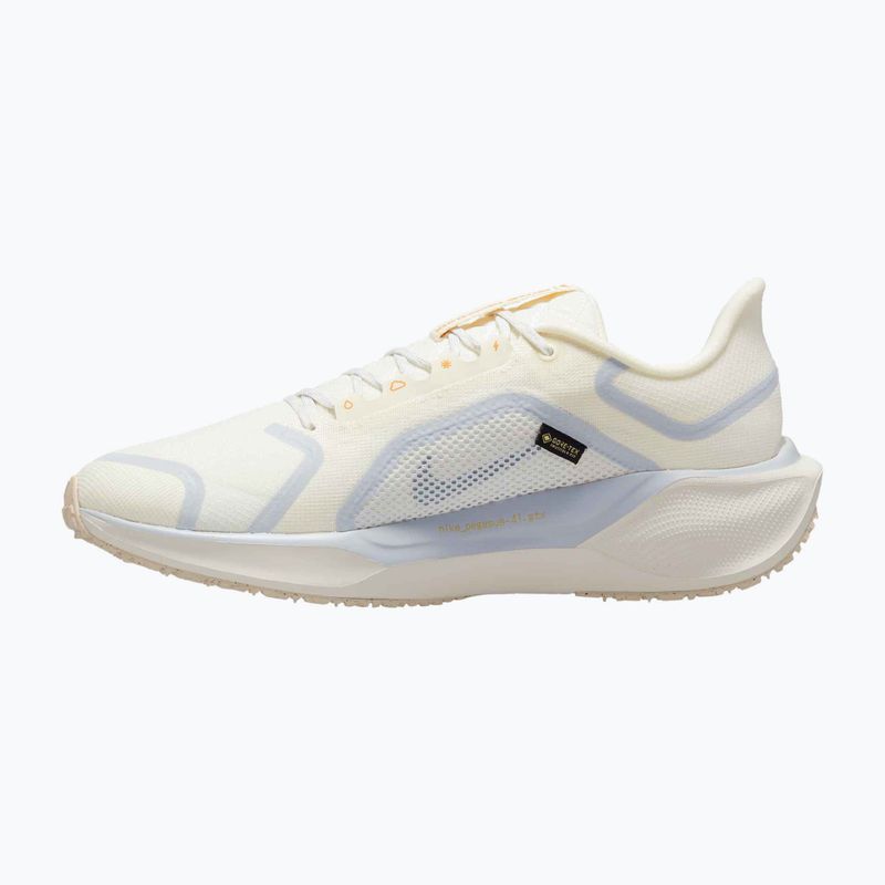 Pánske bežecké topánky Nike Pegasus 41 GTX sail/football grey/sundial/ashen slate 2