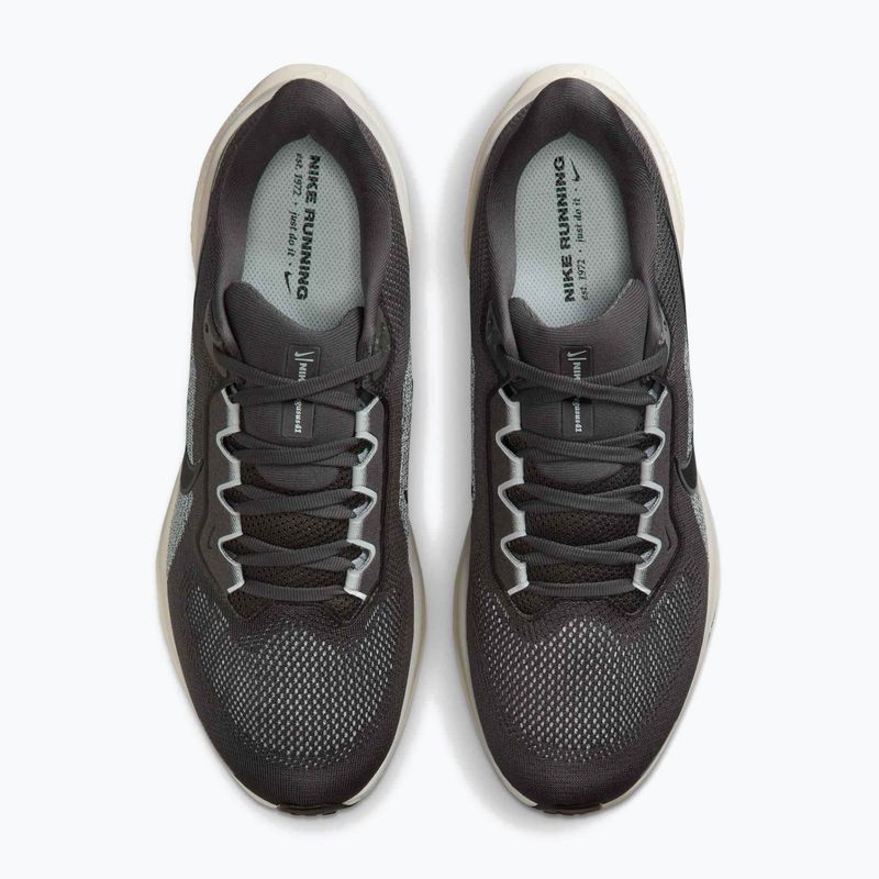 Pánske bežecké topánky Nike Pegasus 41 medium ash/pure platinum/black 5