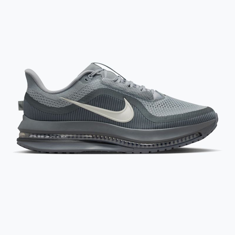 Pánske bežecké topánky Nike Pegasus Premium wolf grey/cool grey/anthracite/sail