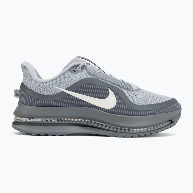 Pánske bežecké topánky Nike Pegasus Premium wolf grey/cool grey/anthracite/sail 2