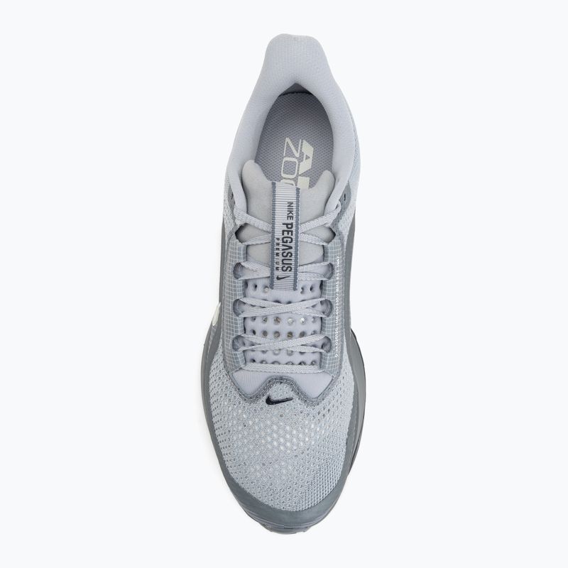 Pánske bežecké topánky Nike Pegasus Premium wolf grey/cool grey/anthracite/sail 5
