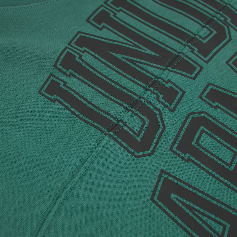 Pánska mikina Under Armour Rival LW Graphic Hoodie rack green/black 3