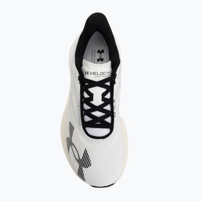 Bežecké topánky Under Armour Velociti Distance Storm white/white/black 5