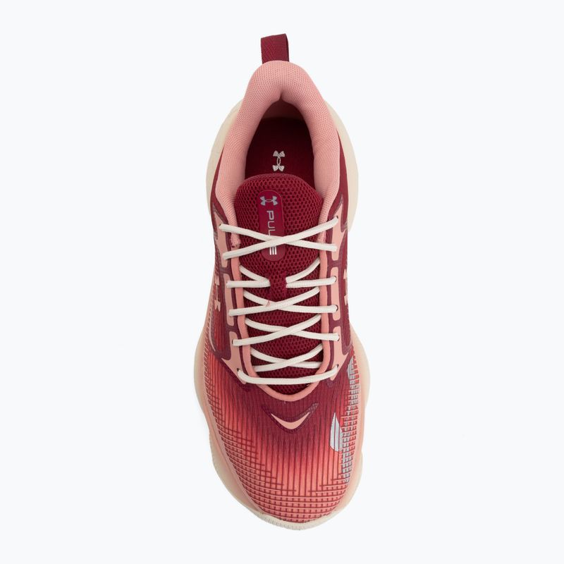 Dámske tréningové topánky Under Armour Pulse claret/posh pink/posh pink 5